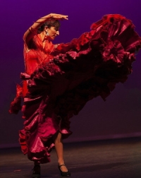 Flamenco