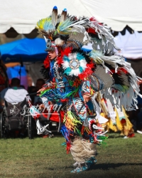 Sycuan Powwow