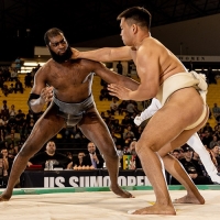 Sumo