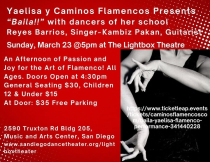 Flamenco Dance Concert